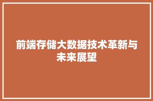 前端存储大数据技术革新与未来展望  第1张