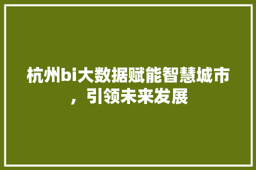 杭州bi大数据赋能智慧城市，引领未来发展  第1张
