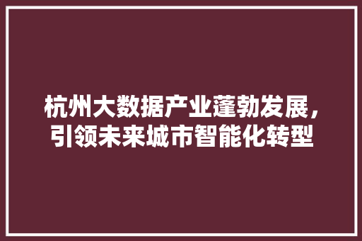 杭州大数据产业蓬勃发展，引领未来城市智能化转型  第1张