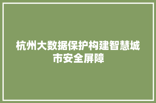 杭州大数据保护构建智慧城市安全屏障  第1张