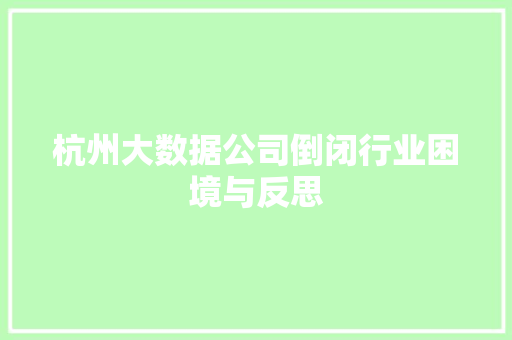 杭州大数据公司倒闭行业困境与反思  第1张