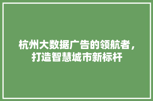 杭州大数据广告的领航者，打造智慧城市新标杆  第1张