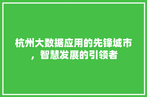 杭州大数据应用的先锋城市，智慧发展的引领者  第1张