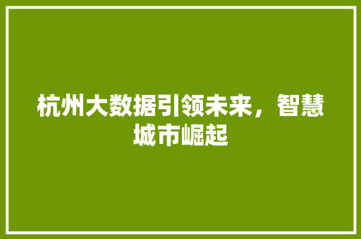 杭州大数据引领未来，智慧城市崛起  第1张