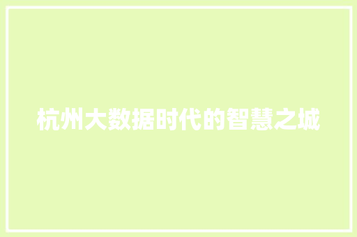 杭州大数据时代的智慧之城  第1张