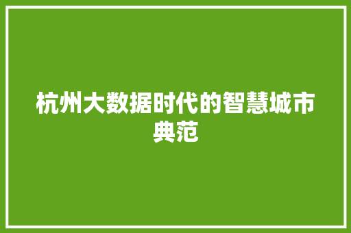 杭州大数据时代的智慧城市典范  第1张