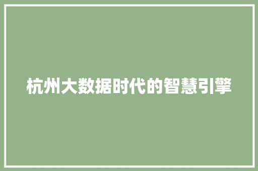 杭州大数据时代的智慧引擎  第1张