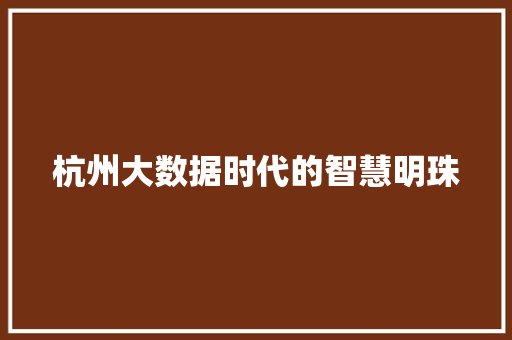杭州大数据时代的智慧明珠  第1张