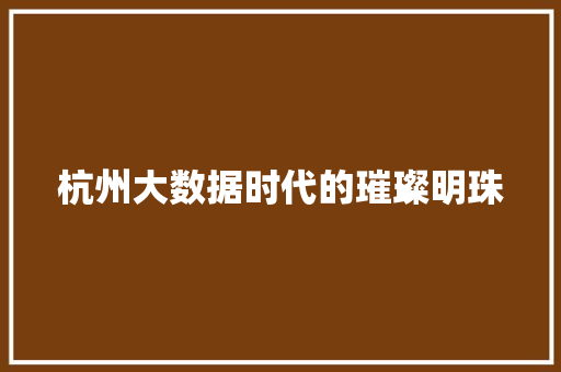 杭州大数据时代的璀璨明珠  第1张