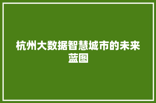 杭州大数据智慧城市的未来蓝图  第1张