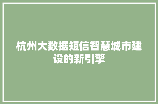 杭州大数据短信智慧城市建设的新引擎  第1张