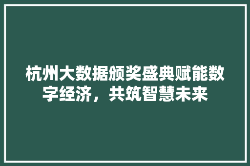 杭州大数据颁奖盛典赋能数字经济，共筑智慧未来  第1张
