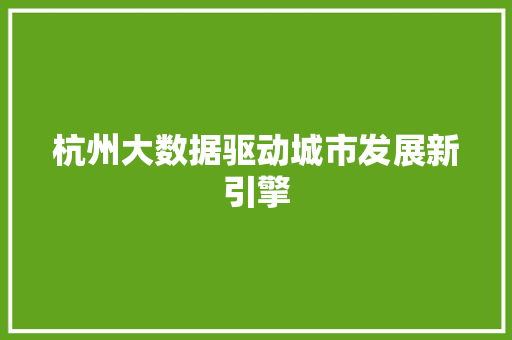 杭州大数据驱动城市发展新引擎  第1张