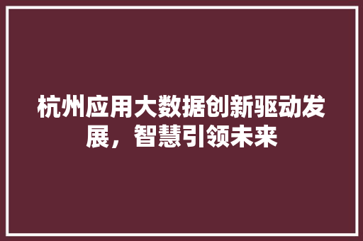 杭州应用大数据创新驱动发展，智慧引领未来  第1张