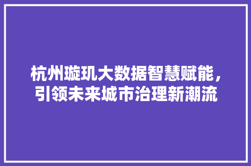 杭州璇玑大数据智慧赋能，引领未来城市治理新潮流