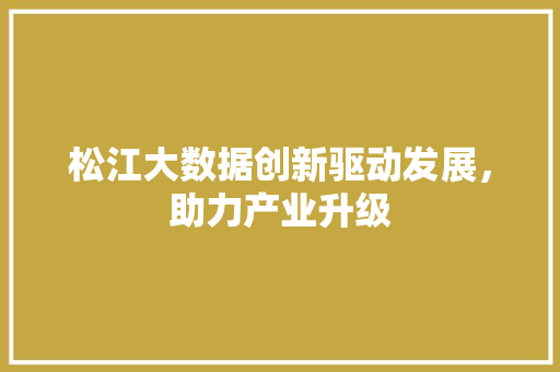 松江大数据创新驱动发展，助力产业升级