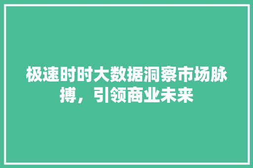 极速时时大数据洞察市场脉搏，引领商业未来