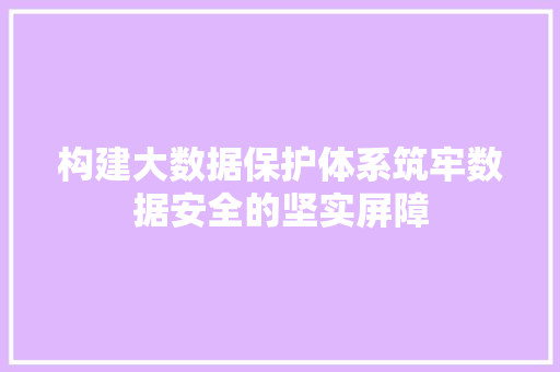 构建大数据保护体系筑牢数据安全的坚实屏障  第1张