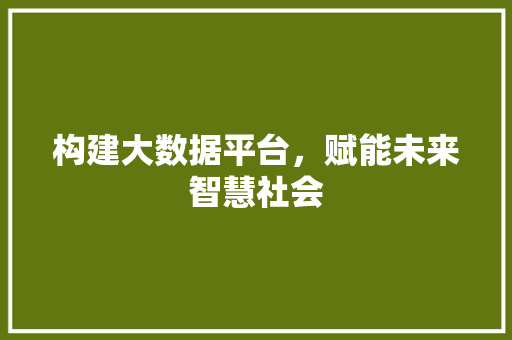 构建大数据平台，赋能未来智慧社会  第1张