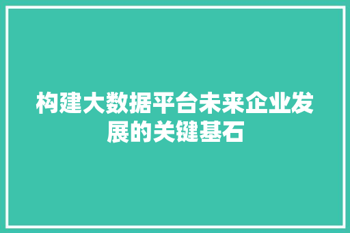 构建大数据平台未来企业发展的关键基石  第1张