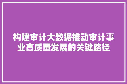 构建审计大数据推动审计事业高质量发展的关键路径  第1张
