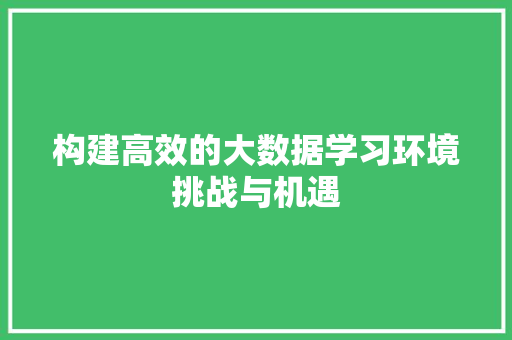 构建高效的大数据学习环境挑战与机遇  第1张
