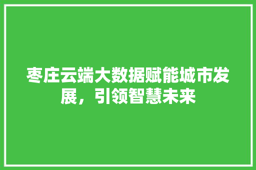 枣庄云端大数据赋能城市发展，引领智慧未来