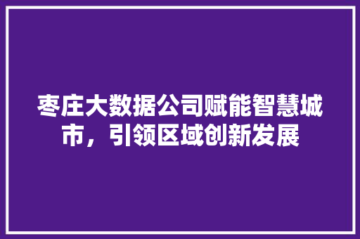枣庄大数据公司赋能智慧城市，引领区域创新发展  第1张