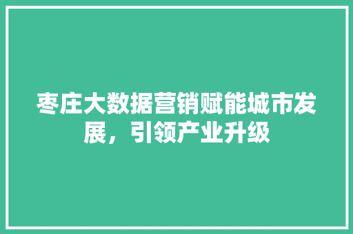 枣庄大数据营销赋能城市发展，引领产业升级  第1张