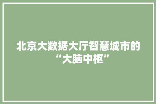 北京大数据大厅智慧城市的“大脑中枢”