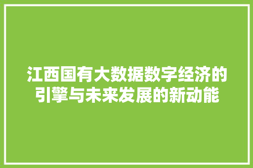 江西国有大数据数字经济的引擎与未来发展的新动能  第1张