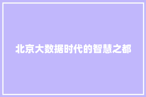 北京大数据时代的智慧之都  第1张