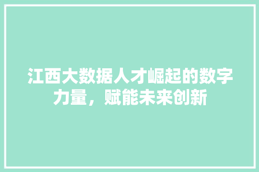 江西大数据人才崛起的数字力量，赋能未来创新  第1张