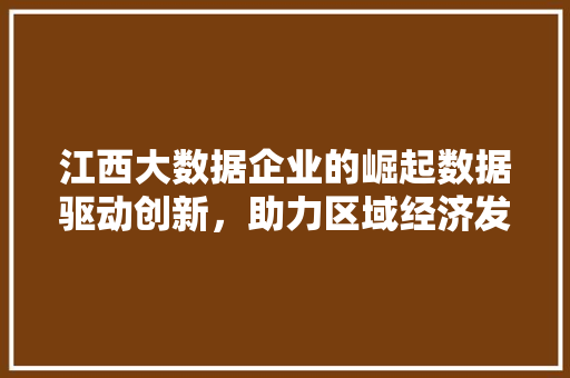 江西大数据企业的崛起数据驱动创新，助力区域经济发展  第1张