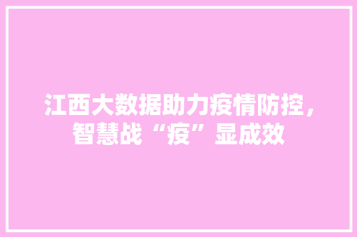 江西大数据助力疫情防控，智慧战“疫”显成效  第1张