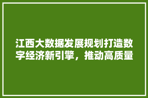 江西大数据发展规划打造数字经济新引擎，推动高质量发展  第1张