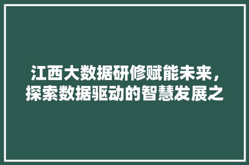 江西大数据研修赋能未来，探索数据驱动的智慧发展之路  第1张