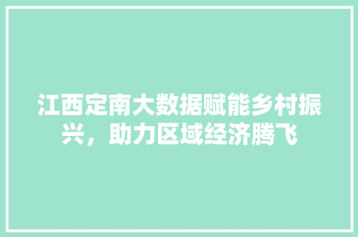 江西定南大数据赋能乡村振兴，助力区域经济腾飞