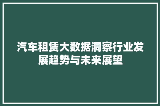 汽车租赁大数据洞察行业发展趋势与未来展望