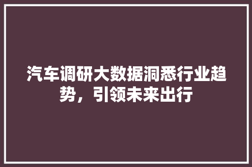 汽车调研大数据洞悉行业趋势，引领未来出行  第1张