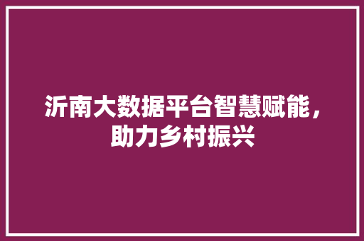 沂南大数据平台智慧赋能，助力乡村振兴