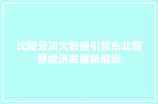 沈阳云顶大数据引领东北智慧经济发展新潮流  第1张