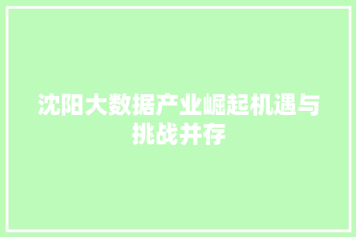 沈阳大数据产业崛起机遇与挑战并存  第1张