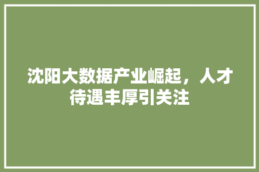 沈阳大数据产业崛起，人才待遇丰厚引关注  第1张