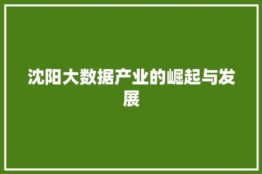 沈阳大数据产业的崛起与发展  第1张