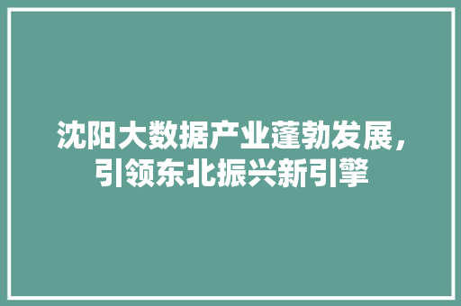沈阳大数据产业蓬勃发展，引领东北振兴新引擎  第1张