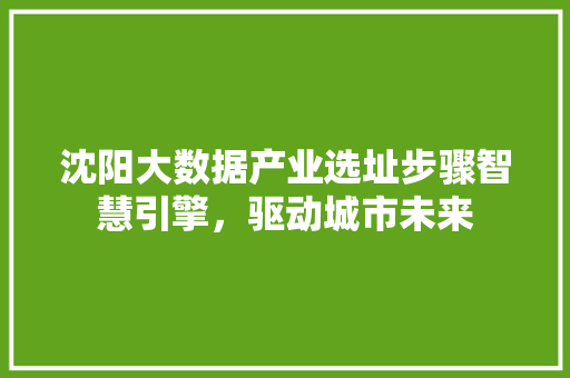 沈阳大数据产业选址步骤智慧引擎，驱动城市未来  第1张