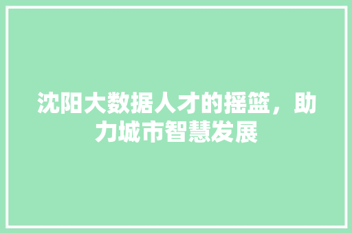 沈阳大数据人才的摇篮，助力城市智慧发展  第1张