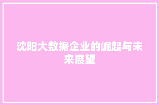 沈阳大数据企业的崛起与未来展望  第1张