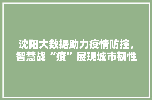 沈阳大数据助力疫情防控，智慧战“疫”展现城市韧性  第1张